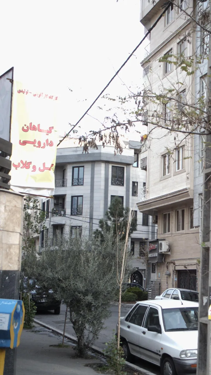 گیاهان دارویی گل وگلاب