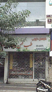 گیاهان دارویی طب کهن