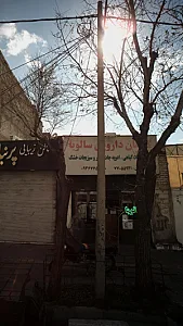 گیاهان دارویی سالویا
