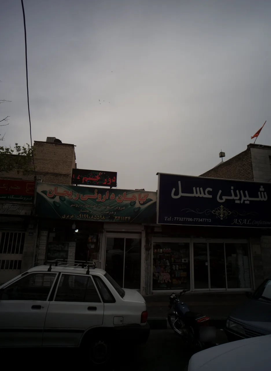 گیاهان داروئی ریحان