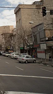 گیاهان دارویی ابن سینا