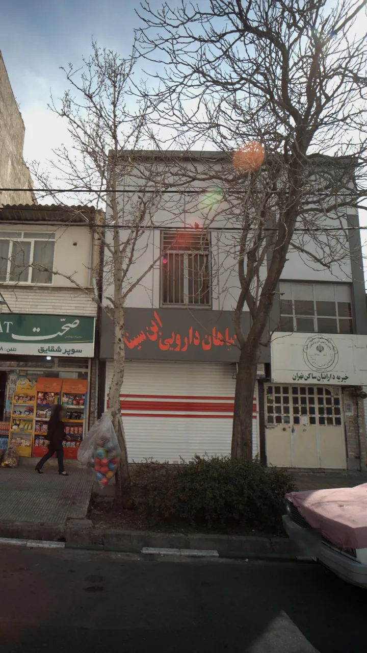 گیاهان دارویی ابن سینا - تصویر 2