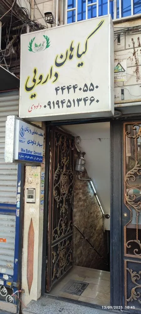 گیاهان دارویی حکیم داوودی - تصویر 3