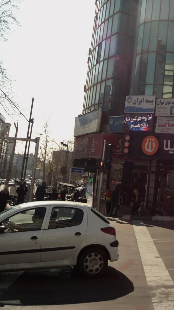 گیاهان دارویی ابوعلی سینا - تصویر 2