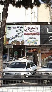 گیلان دارویی زنبق
