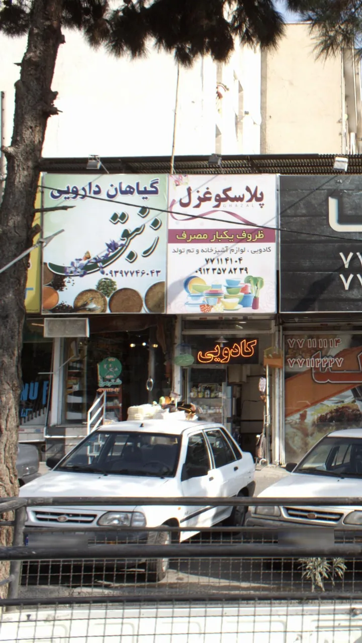 گیلان دارویی زنبق