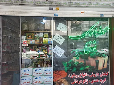 گیاهان دارویی نعنا