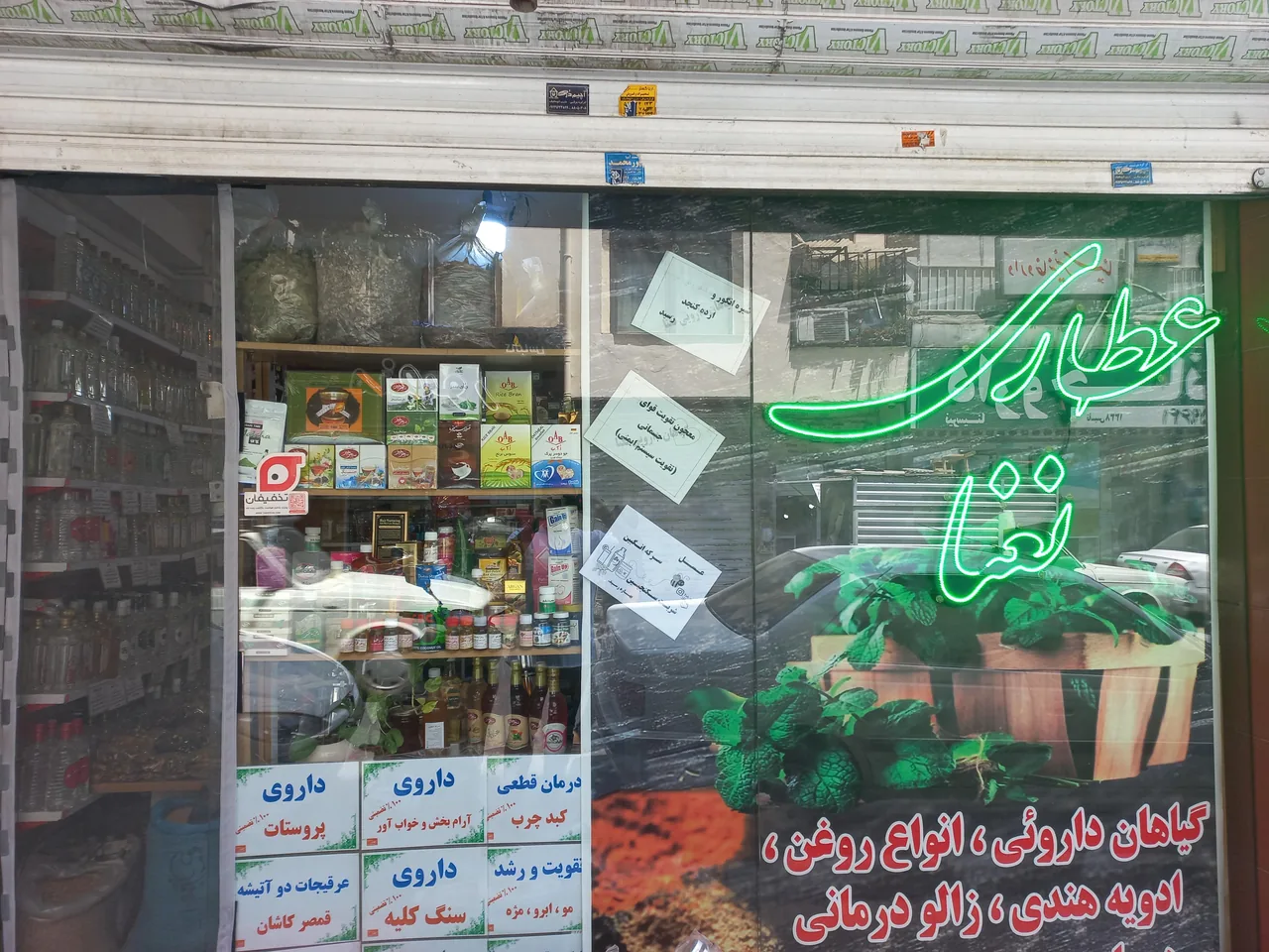 گیاهان دارویی نعنا