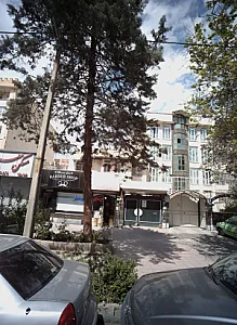 گیاهان دارویی
