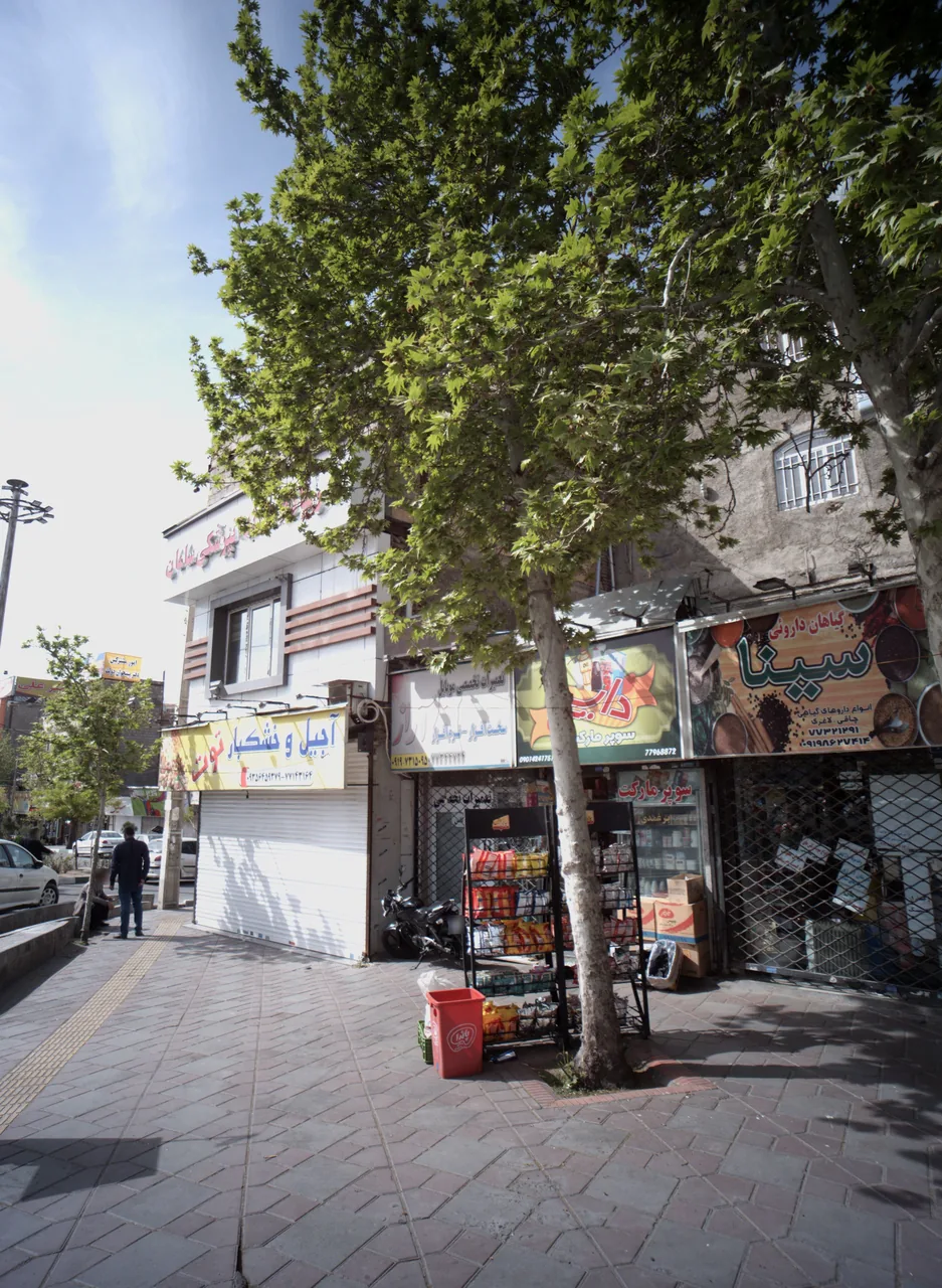 گیاهان داروئی سینا