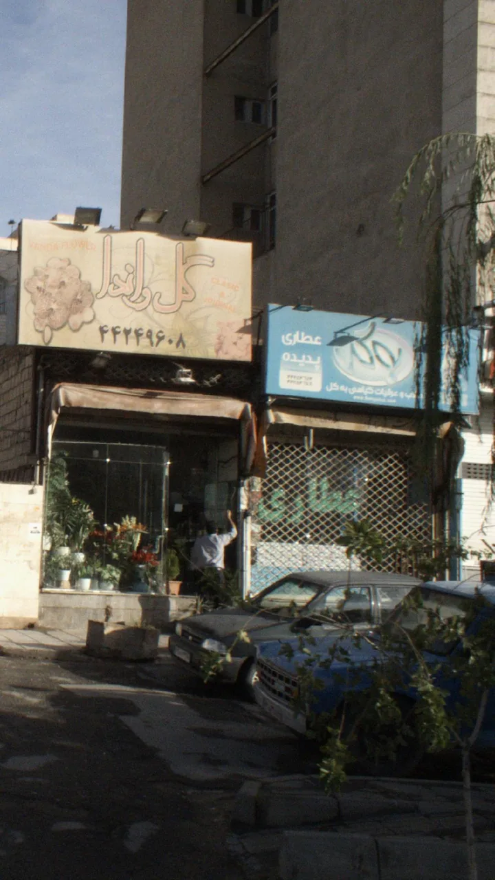 عطاری پدیده