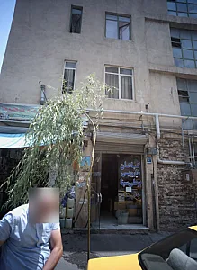 گیاهان دارویی بو علی سینا