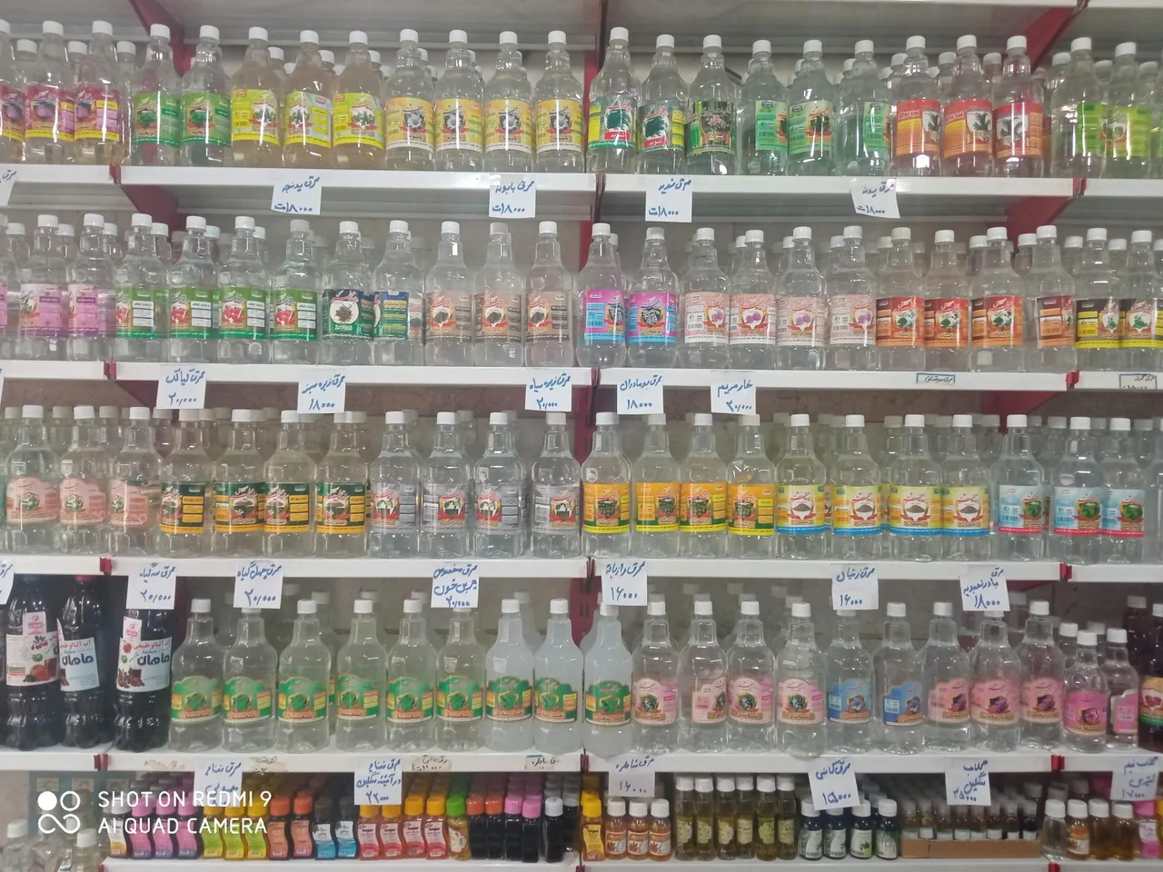 گیاهان دارویی عطار نیشابوری - تصویر 2