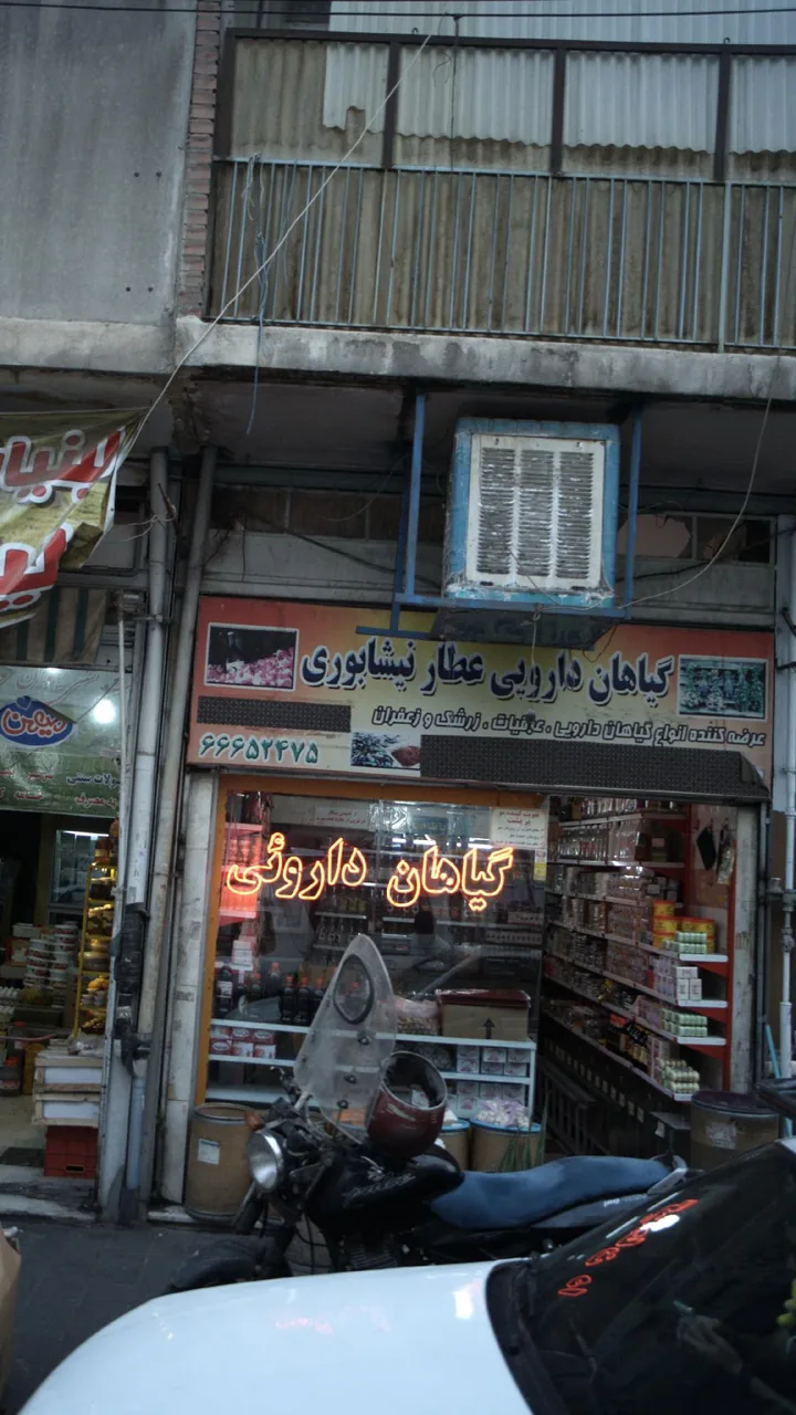 گیاهان دارویی عطار نیشابوری - تصویر 3
