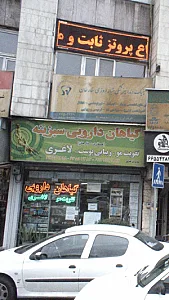 گیاهان دارویی سبزینه