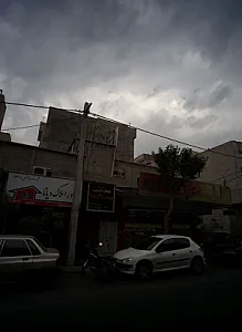 گیاهان دارویی موسی الرضا
