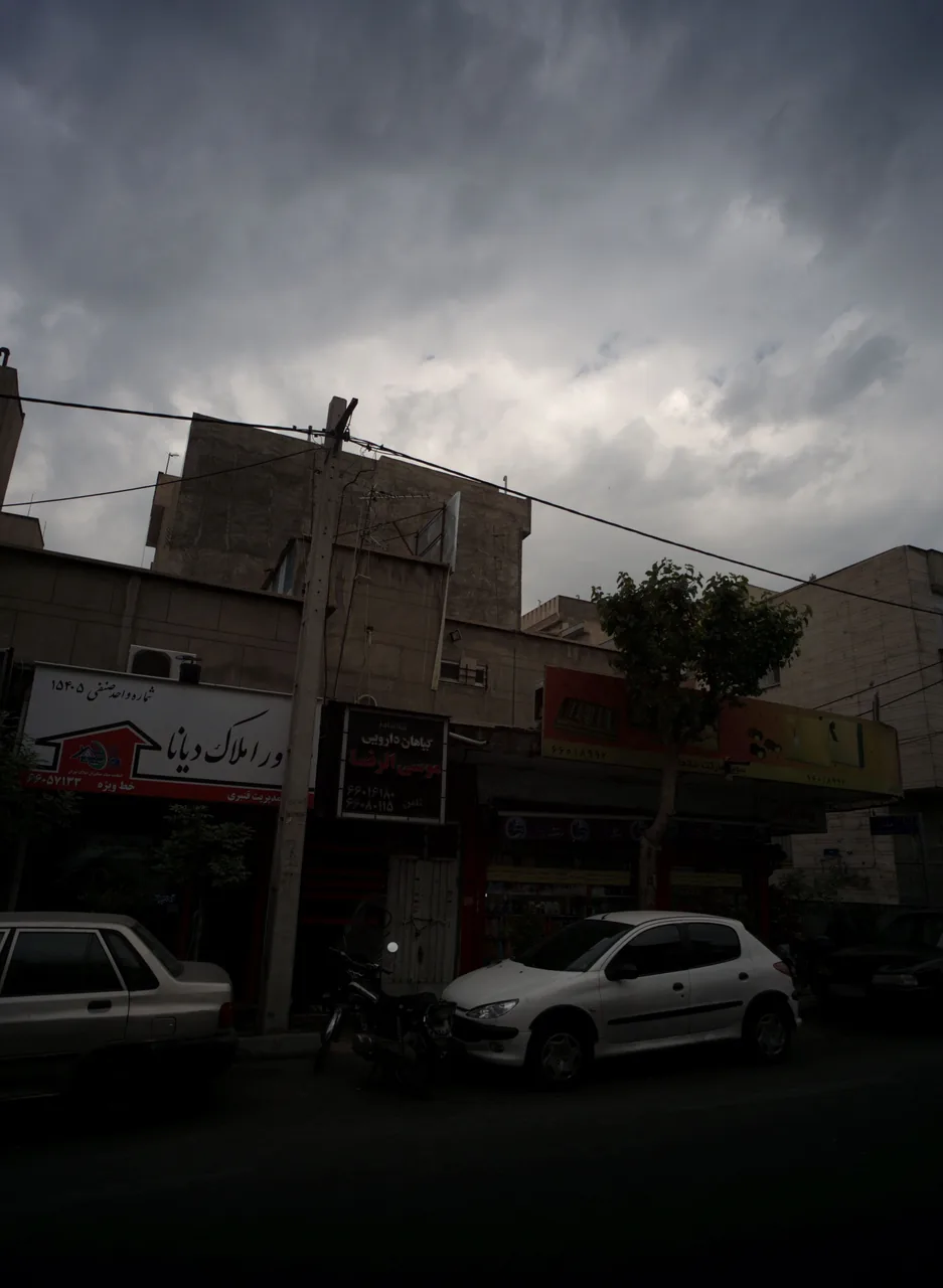 گیاهان دارویی موسی الرضا