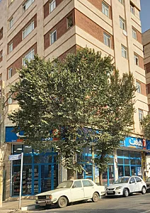 فروشگاه هفت