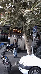 چای نبات