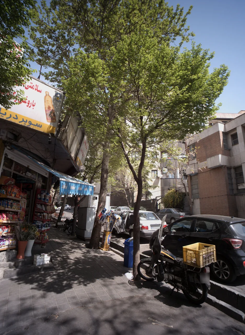 سوپر مارکت دریانی