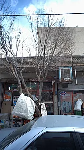 سوپرمارکت شقایق