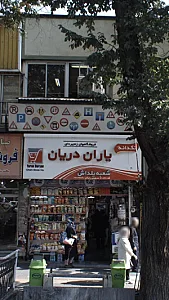 یاران دریان