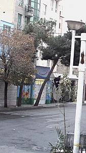 مهد کودک گلها