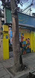 مهد کودک و پیش دبستانی تربیت