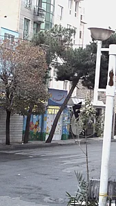 مهد کودک مهر و ماه