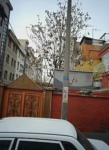 مهد کودک مانلی