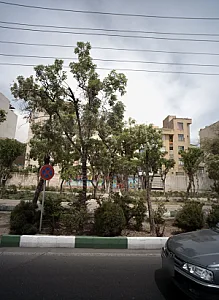 مهد کودک و پیش دبستانی مشکات