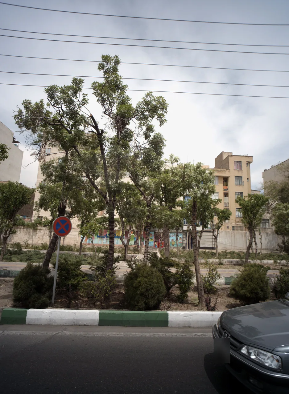 مهد کودک و پیش دبستانی مشکات