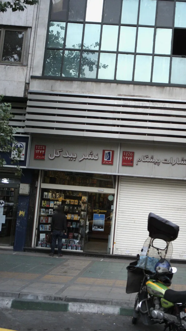 نشر بیدگل