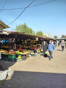 هایپر میوه مدرس