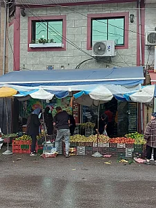میوه فروشی خانم باصفا