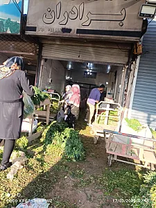 سبزی فروشی برادران