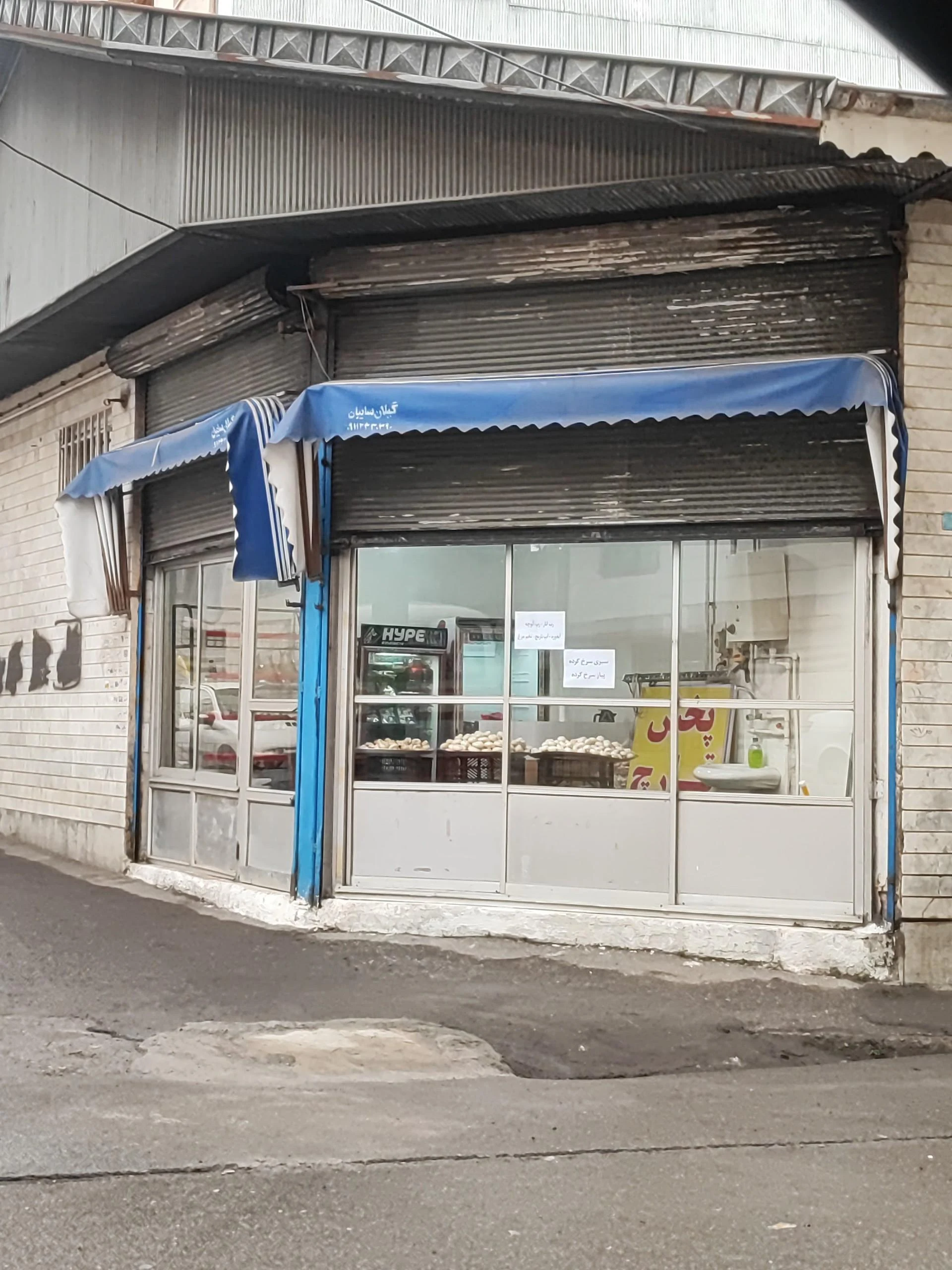 قارچ سنتر