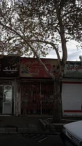 نگین شرق