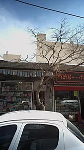 فروشگاه اسباب بازی آهو