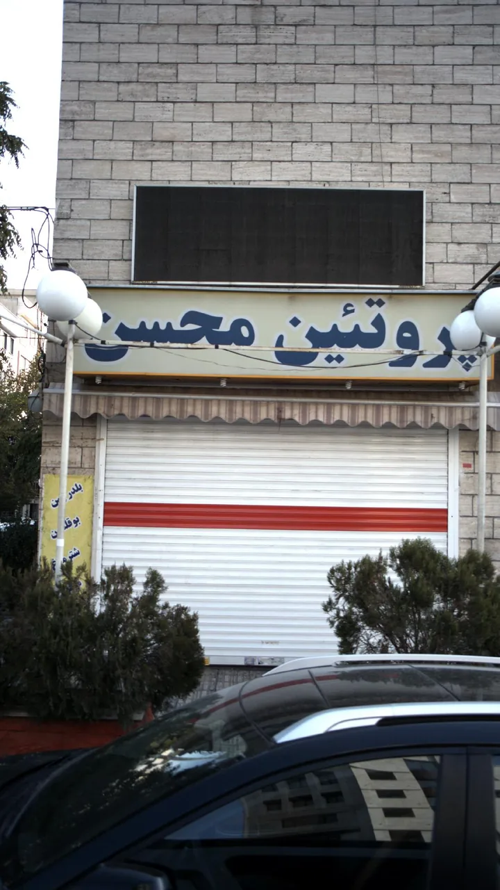 پروتئین محسن