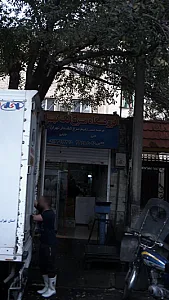 فروشگاه مرغ تک تهران