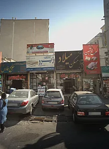 مرغ آمین