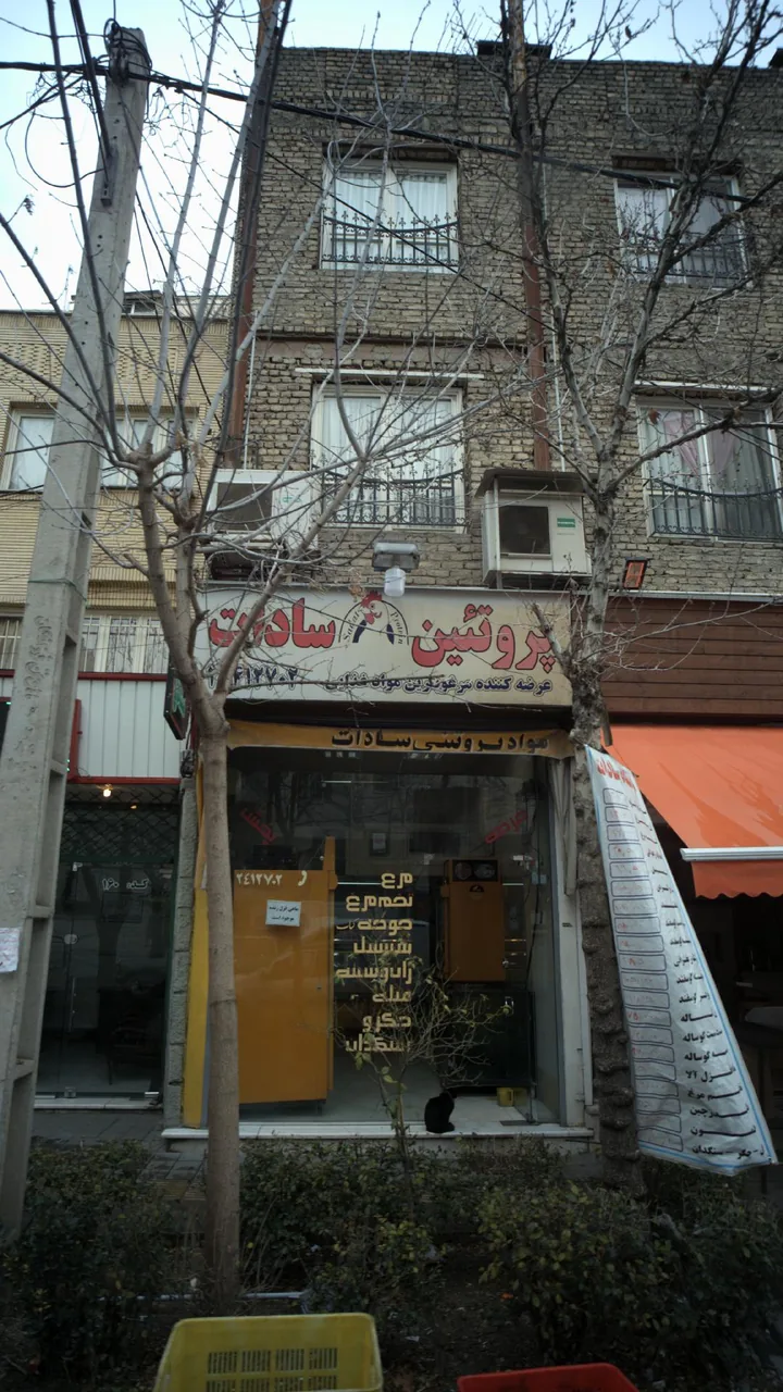 پروتئین سادات - تصویر 2