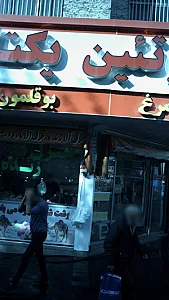 پروتئین یکتا پارس