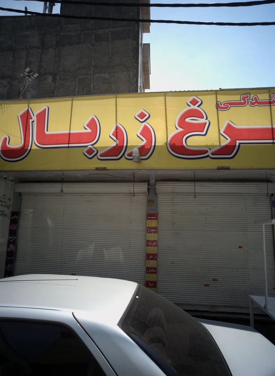 نمایندگی مرغ زربال