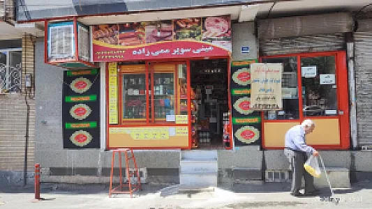 پروتئین ممی زاده