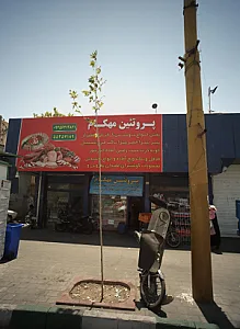 پروتئین مهکام