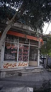 پروتئین رسولی