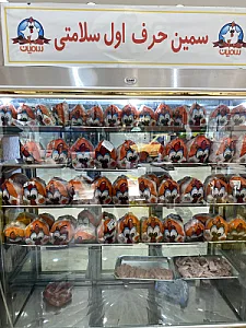 پخش مرغ سمین فرحزاد