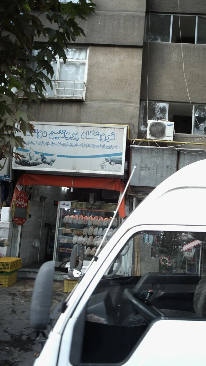 فروشگاه پروتئین دولت
